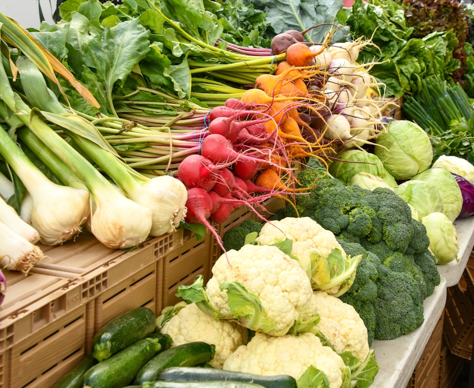 Budget-friendly protein sources